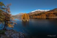 Abendlicht am Silsersee - ©Christiane Dreher