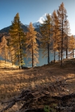 Silsersee - ©Christiane Dreher