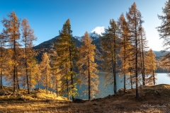 Silsersee - ©Christiane Dreher