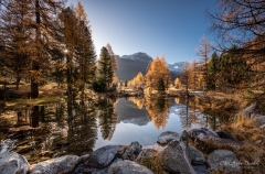 Morgens am Morteratschseeli - ©Christiane Dreher