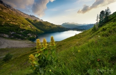 Engstlensee am Abend - ©Christiane Dreher