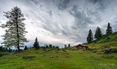 Alpwiesen beim Engstlensee - ©Christiane Dreher