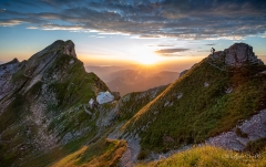 Gasthaus Tierwis - ©Christiane Dreher