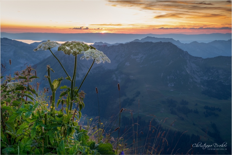 Sonnenuntergang Pic Chaussy (2.351 m) - ©Christiane Dreher