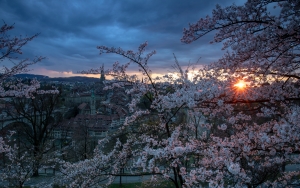 Frühling in Bern