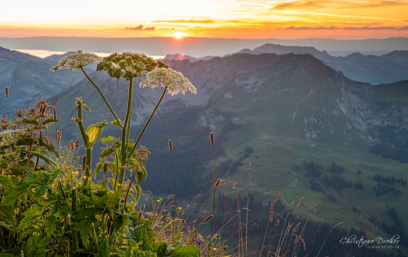 Sonnenuntergang Pic Chaussy (2.351 m) - ©Christiane Dreher